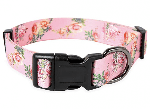 DOG COLLARS 70% OFF WITH PROMO CODE ON AMAZON!